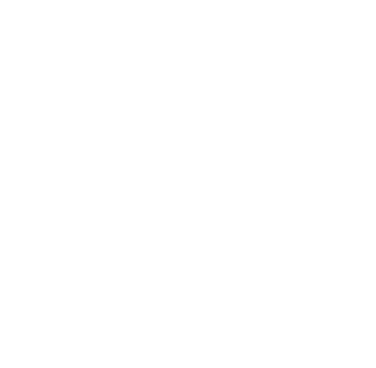Therapy Services